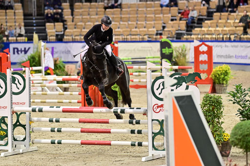 SH Holstein International  21-24.10.2021 Neumünster | Pfg 1 Bronze Tour _529 