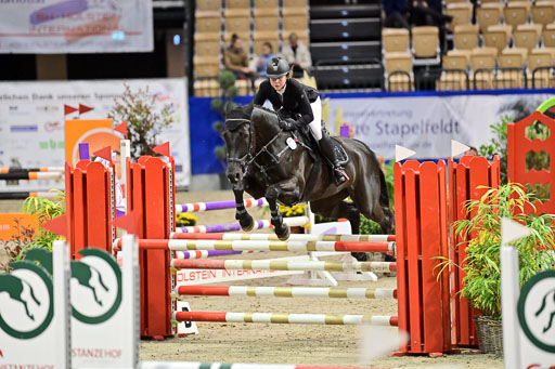 SH Holstein International  21-24.10.2021 Neumünster | Pfg 1 Bronze Tour _534 