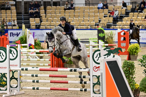 SH Holstein International  21-24.10.2021 Neumünster | Pfg 1 Bronze Tour _546 