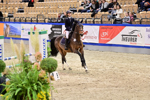 SH Holstein International  21-24.10.2021 Neumünster | Pfg 1 Bronze Tour _570 