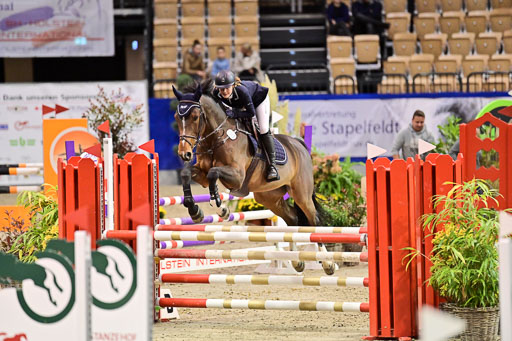 SH Holstein International  21-24.10.2021 Neumünster | Pfg 1 Bronze Tour _574 