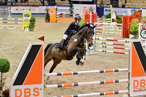 SH Holstein International  21-24.10.2021 Neumünster | Pfg 1 Bronze Tour _575 