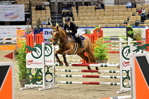 SH Holstein International  21-24.10.2021 Neumünster | Pfg 1 Bronze Tour _579 