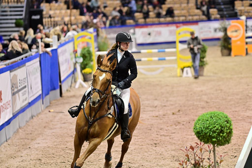 SH Holstein International  21-24.10.2021 Neumünster | Pfg 1 Bronze Tour _580 