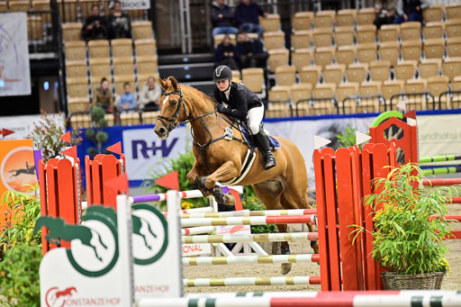 SH Holstein International  21-24.10.2021 Neumünster | Pfg 1 Bronze Tour _585 