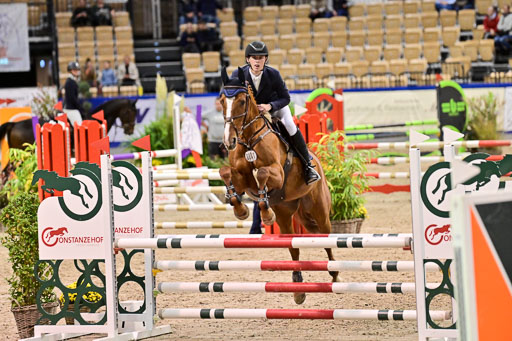 SH Holstein International  21-24.10.2021 Neumünster | Pfg 1 Bronze Tour _588 