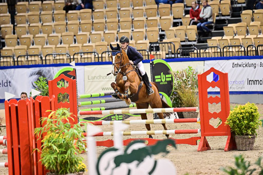 SH Holstein International  21-24.10.2021 Neumünster | Pfg 1 Bronze Tour _593 