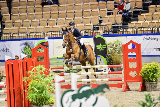 SH Holstein International  21-24.10.2021 Neumünster | Pfg 1 Bronze Tour _594 