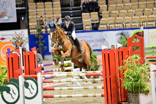 SH Holstein International  21-24.10.2021 Neumünster | Pfg 1 Bronze Tour _595 