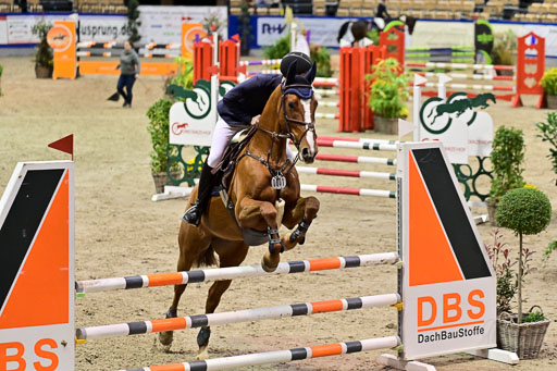 SH Holstein International  21-24.10.2021 Neumünster | Pfg 1 Bronze Tour _596 