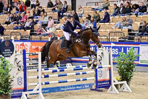 SH Holstein International  21-24.10.2021 Neumünster | Pfg 1 Bronze Tour _618 