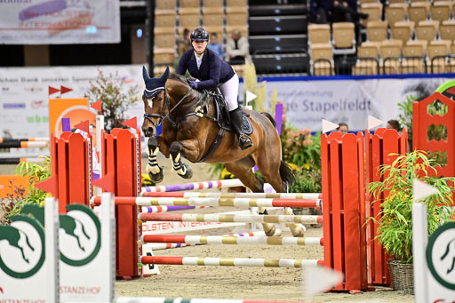 SH Holstein International  21-24.10.2021 Neumünster | Pfg 1 Bronze Tour _620 