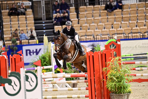 SH Holstein International  21-24.10.2021 Neumünster | Pfg 1 Bronze Tour _627 