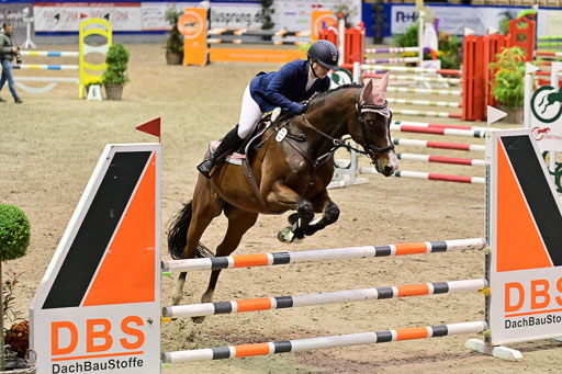 SH Holstein International  21-24.10.2021 Neumünster | Pfg 1 Bronze Tour _638 