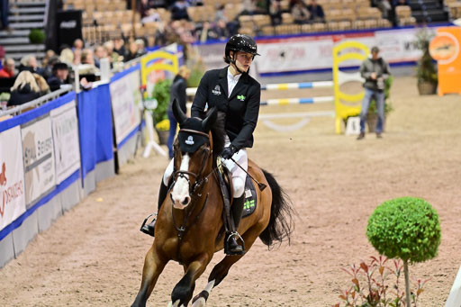 SH Holstein International  21-24.10.2021 Neumünster | Pfg 1 Bronze Tour _641 