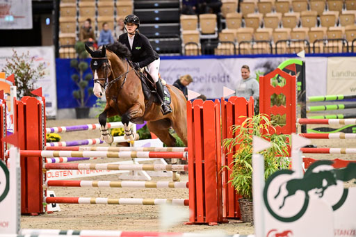 SH Holstein International  21-24.10.2021 Neumünster | Pfg 1 Bronze Tour _646 