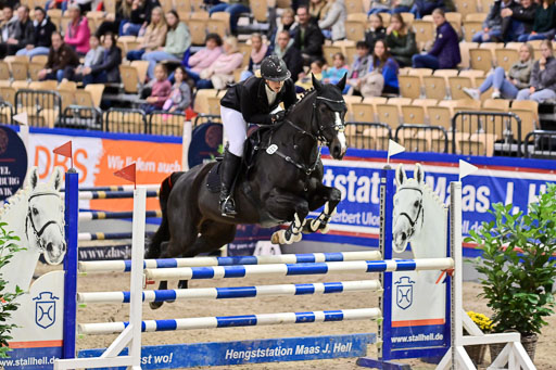 SH Holstein International  21-24.10.2021 Neumünster | Pfg 1 Bronze Tour _650 