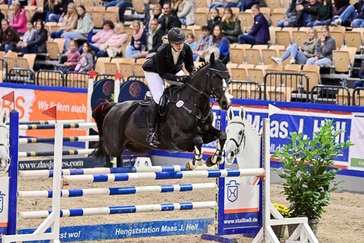 SH Holstein International  21-24.10.2021 Neumünster | Pfg 1 Bronze Tour _651 