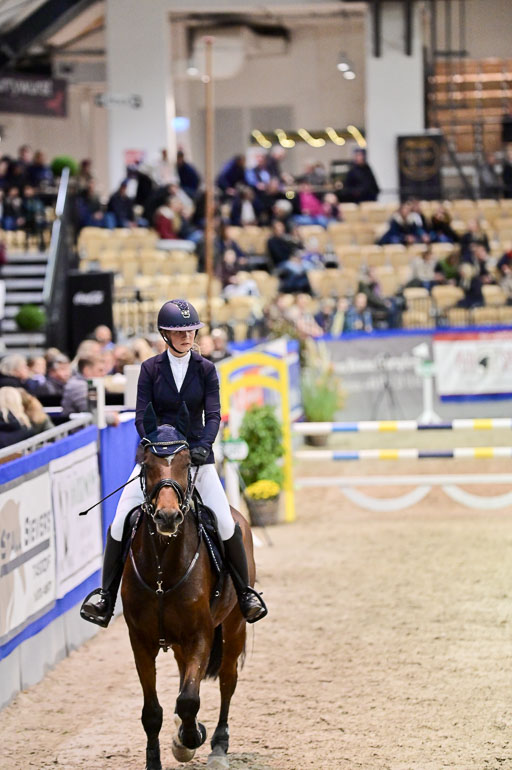 SH Holstein International  21-24.10.2021 Neumünster | Pfg 1 Bronze Tour _657 