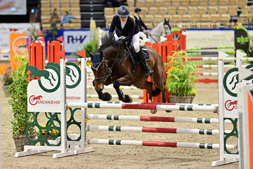 SH Holstein International  21-24.10.2021 Neumünster | Pfg 1 Bronze Tour _662 