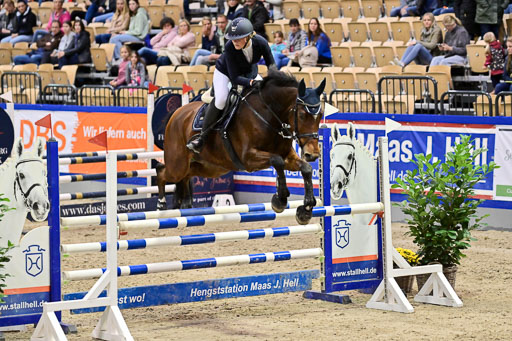 SH Holstein International  21-24.10.2021 Neumünster | Pfg 1 Bronze Tour _667 