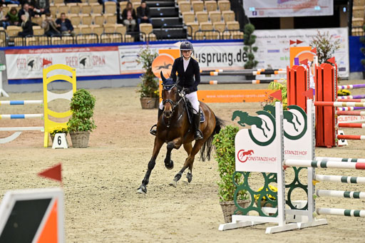 SH Holstein International  21-24.10.2021 Neumünster | Pfg 1 Bronze Tour _672 