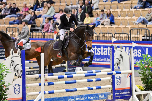 SH Holstein International  21-24.10.2021 Neumünster | Pfg 1 Bronze Tour _685 