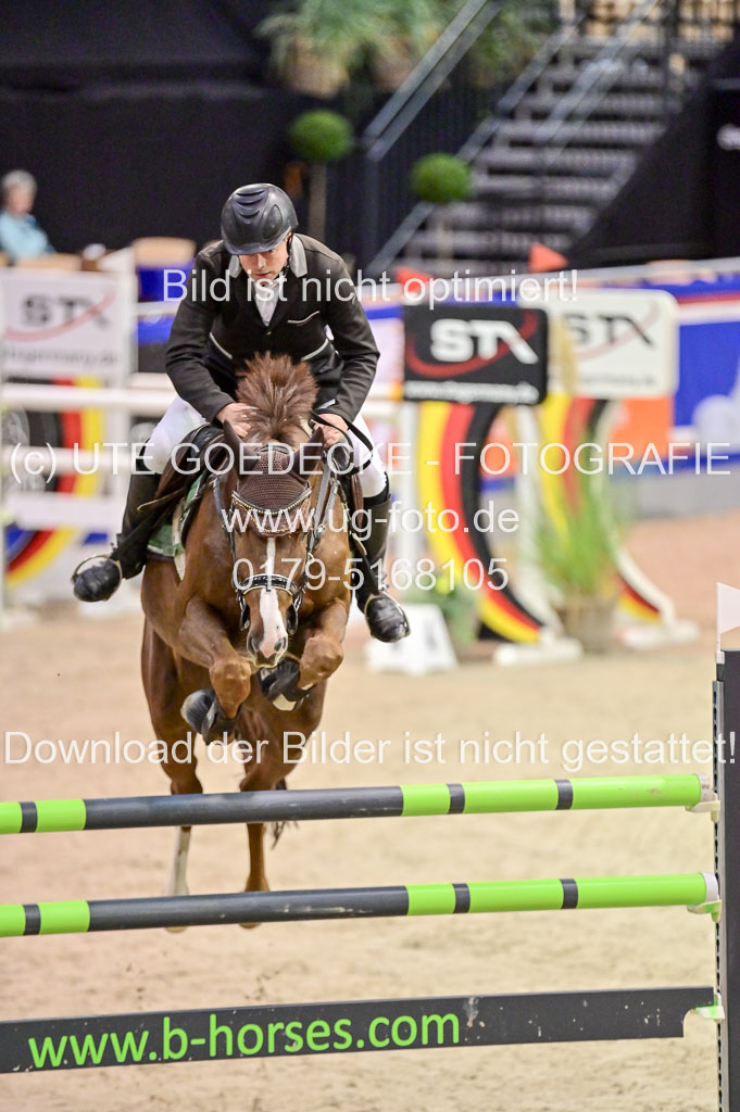 SH Holstein International 21-24.10.2021 Neumünster | Pfg 11 Grand prix Tour _001