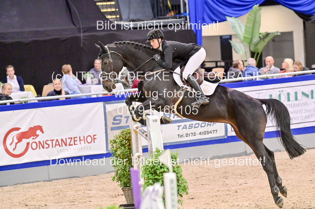 SH Holstein International 21-24.10.2021 Neumünster | Pfg 11 Grand prix Tour _135