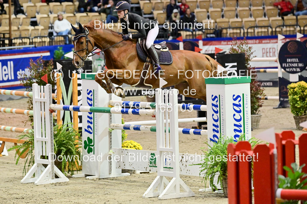 SH Holstein International 21-24.10.2021 Neumünster | Pfg 11 Grand prix Tour _152