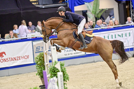 SH Holstein International  21-24.10.2021 Neumünster | Pfg 11 Grand prix Tour _007 