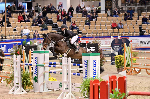 SH Holstein International  21-24.10.2021 Neumünster | Pfg 11 Grand prix Tour _138 