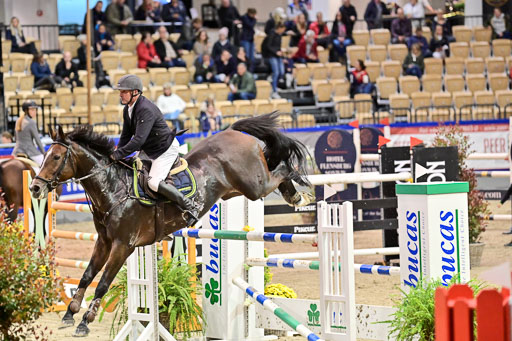 SH Holstein International  21-24.10.2021 Neumünster | Pfg 11 Grand prix Tour _145 
