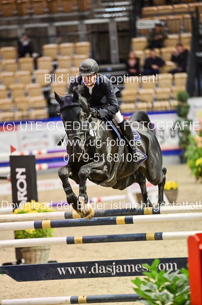 SH Holstein International 21-24.10.2021 Neumünster | Forkert, Marten - Pizarro _1