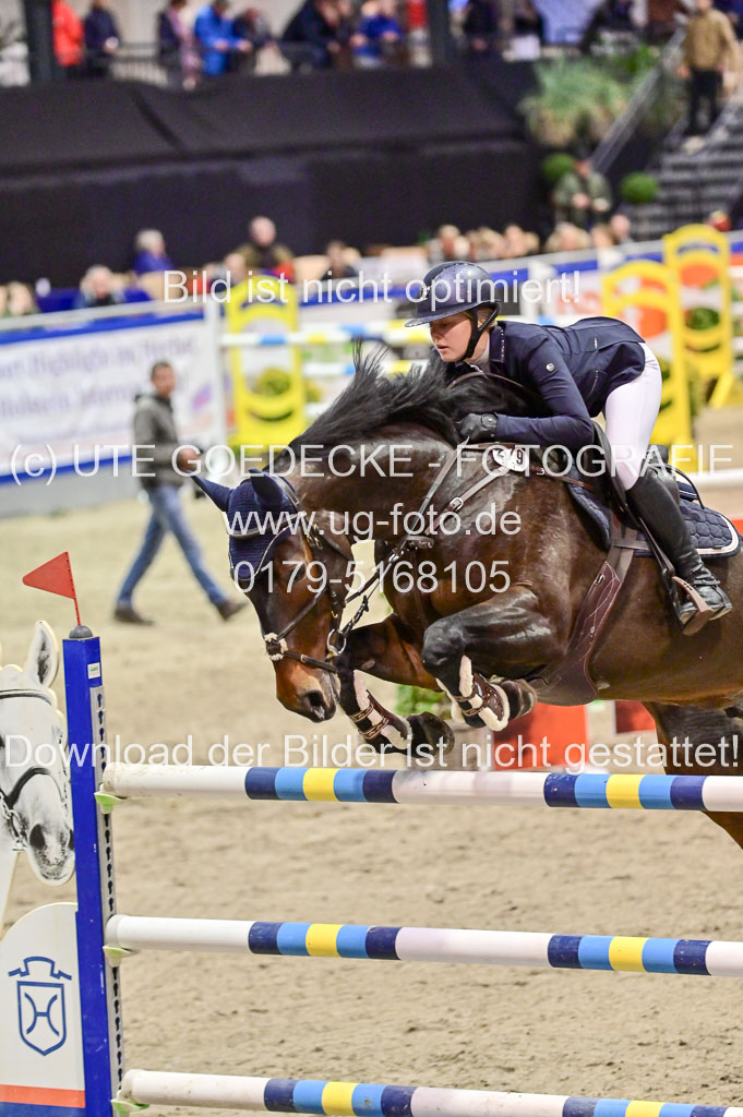 SH Holstein International 21-24.10.2021 Neumünster | Grandtke, Isabell - Quukske_1
