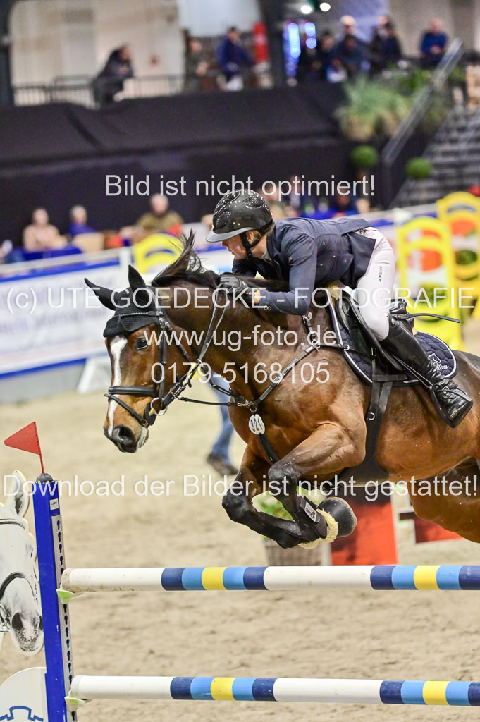 SH Holstein International  21-24.10.2021 Neumünster | Ottens, Amelie - Quintus 133_2 