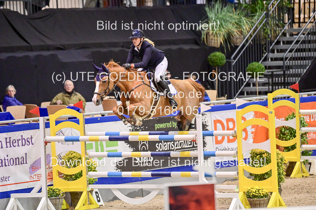 SH Holstein International 21-24.10.2021 Neumünster | Wachholz, Konstanze - Cruella de Vil_05