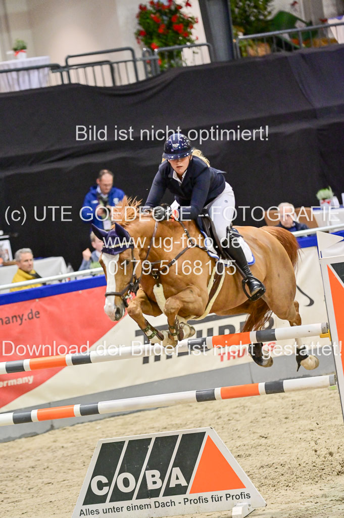 SH Holstein International 21-24.10.2021 Neumünster | Wachholz, Konstanze - Cruella de Vil_07