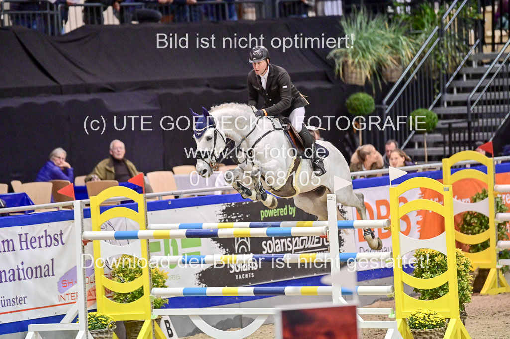 SH Holstein International 21-24.10.2021 Neumünster | grochowski, Jan - Christian Grey _3