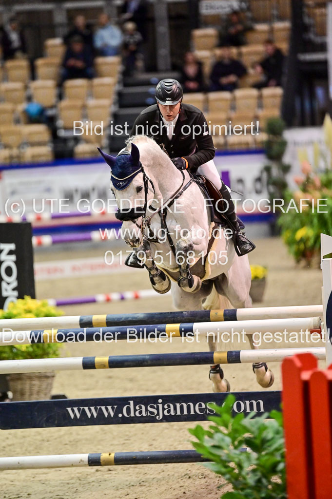 SH Holstein International 21-24.10.2021 Neumünster | grochowski, Jan - Christian Grey