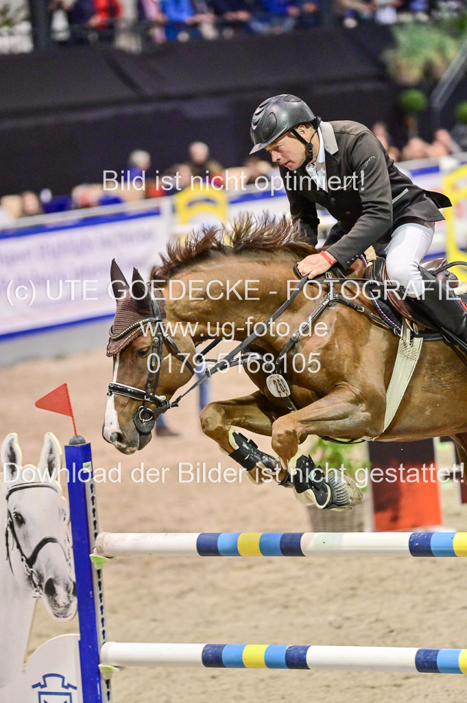SH Holstein International 21-24.10.2021 Neumünster | jensen, Stefan - PM Curtis_2