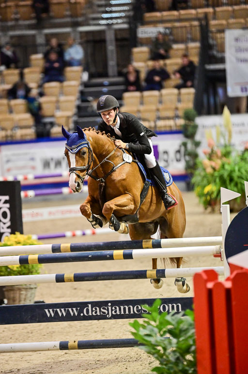 SH Holstein International  21-24.10.2021 Neumünster | Battermann, Philipp - Hagrano_1 