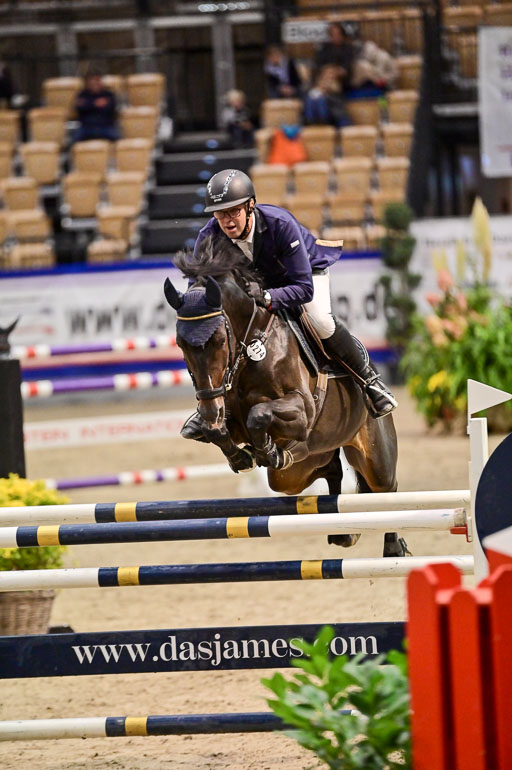 SH Holstein International  21-24.10.2021 Neumünster | Biermann, Carsten - Quineiro 