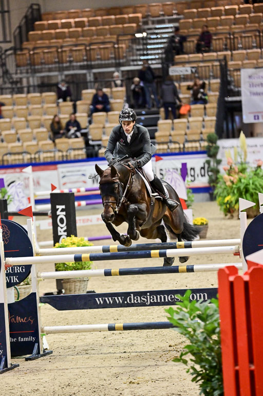 SH Holstein International  21-24.10.2021 Neumünster | Fromberger, Jan Pierre - Choccodello_1 