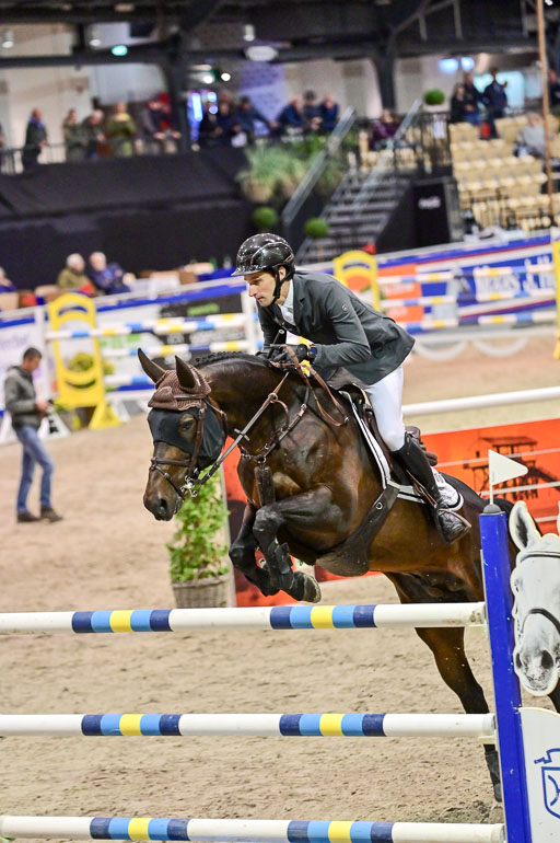 SH Holstein International  21-24.10.2021 Neumünster | Fromberger, Jan Pierre - Choccodello_2 