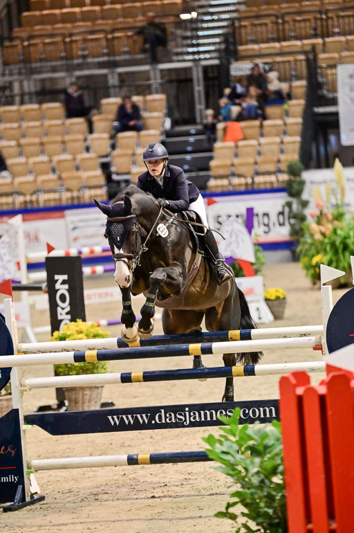 SH Holstein International  21-24.10.2021 Neumünster | Grandke, Isabelle - Stabuck_1 