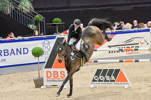 SH Holstein International  21-24.10.2021 Neumünster | Heinsohn, Anja S - ATCs Ajaccio_2 