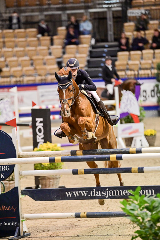 SH Holstein International  21-24.10.2021 Neumünster | Hornung, Melanie - Calencio 