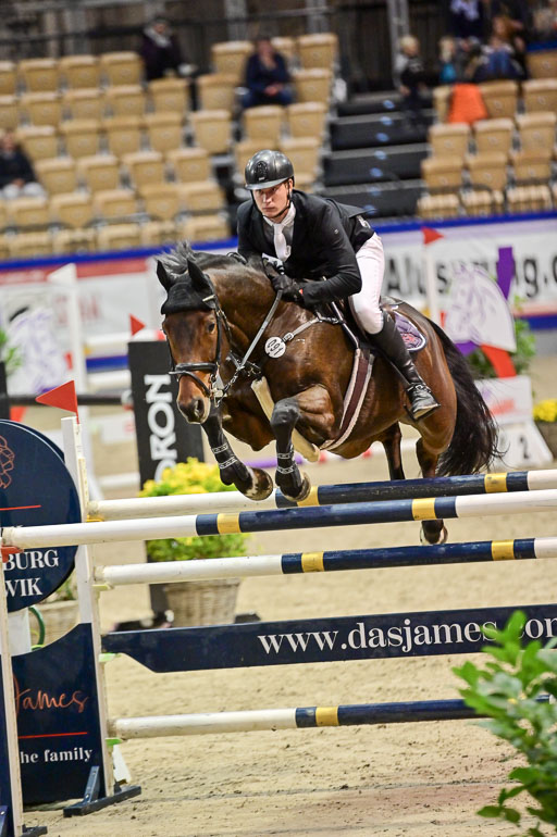 SH Holstein International  21-24.10.2021 Neumünster | Hünicke, Sven Gero - Cedric_2 