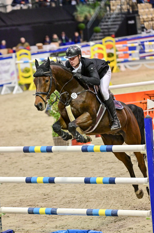 SH Holstein International  21-24.10.2021 Neumünster | Hünicke, Sven Gero - Cedric_3 